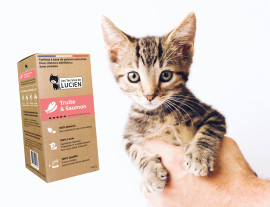 Image Les Terrines de Lucien